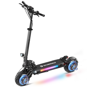 ES6 Dual Electric Scooter