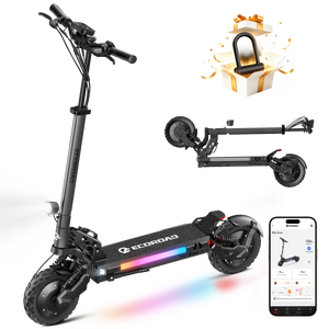 ES6 Dual Electric Scooter